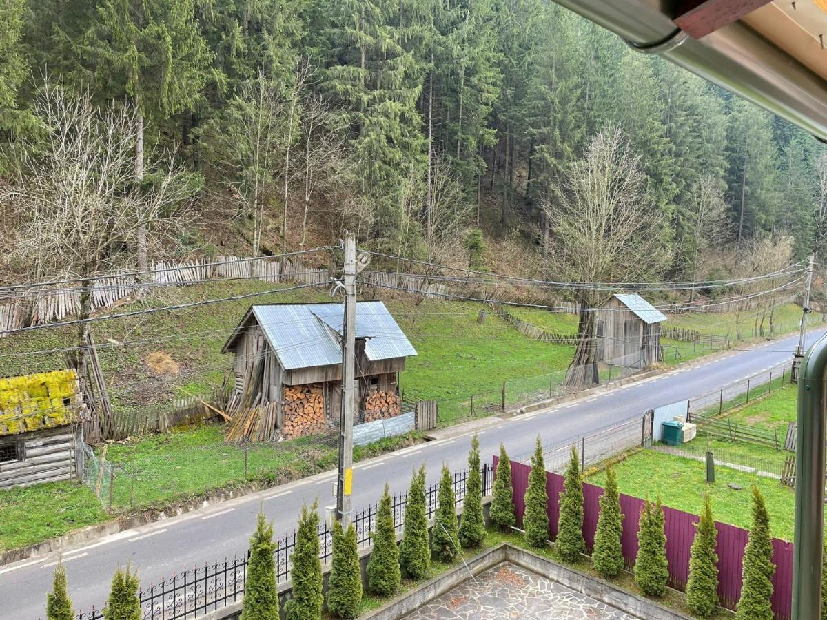 Pensiunea Pe Drumuri De Munte Borca Exterior photo